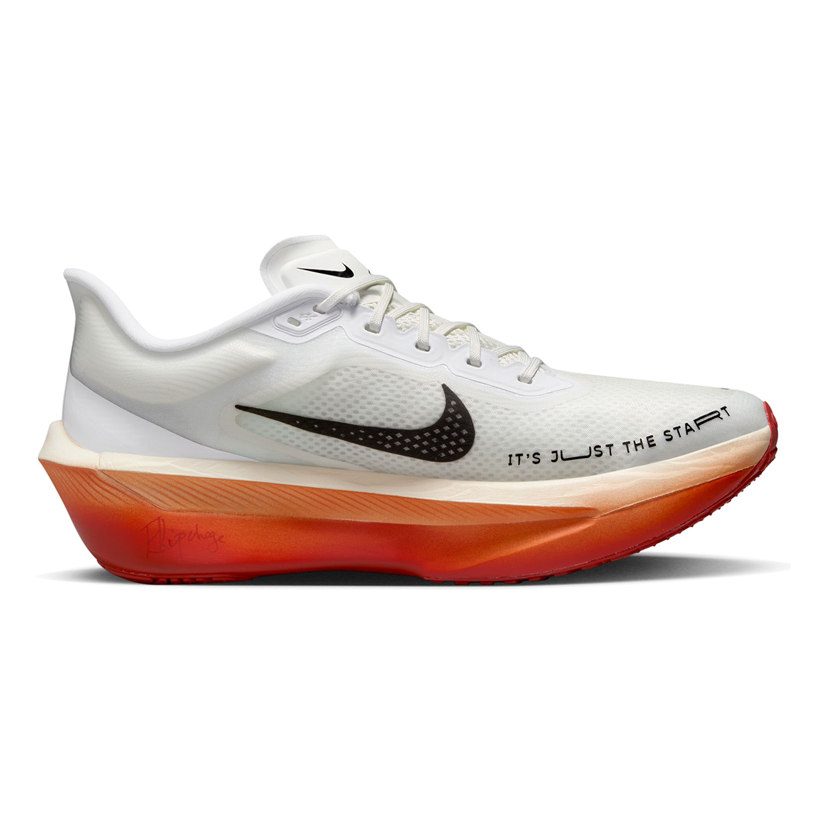 Nike Zoom Fly 6 EK - Running Shoes