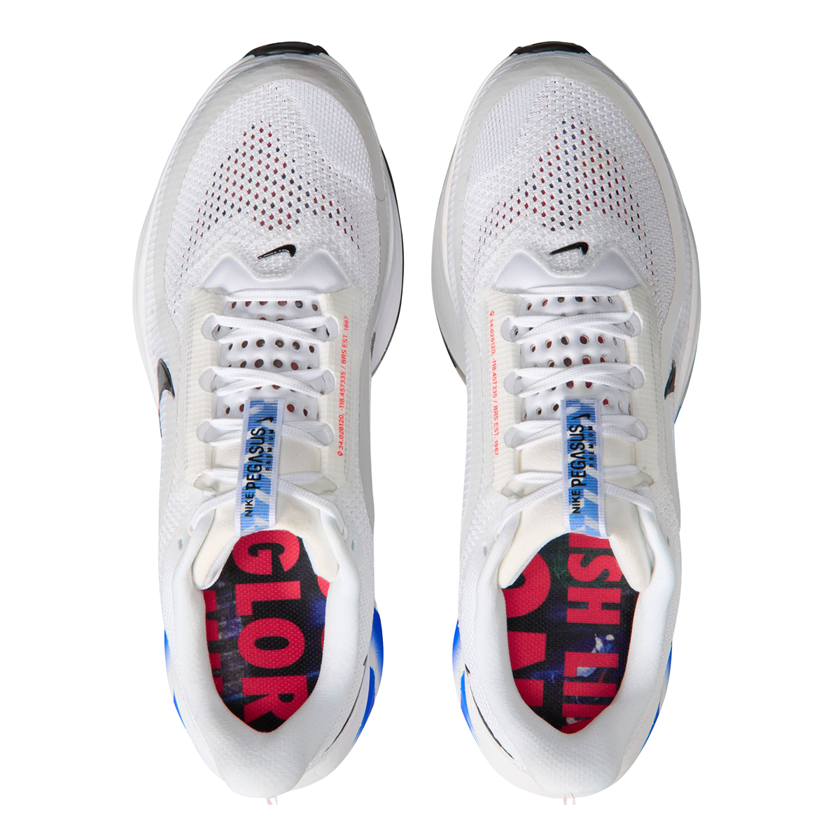 Nike Pegasus Premium CM - Running Shoes